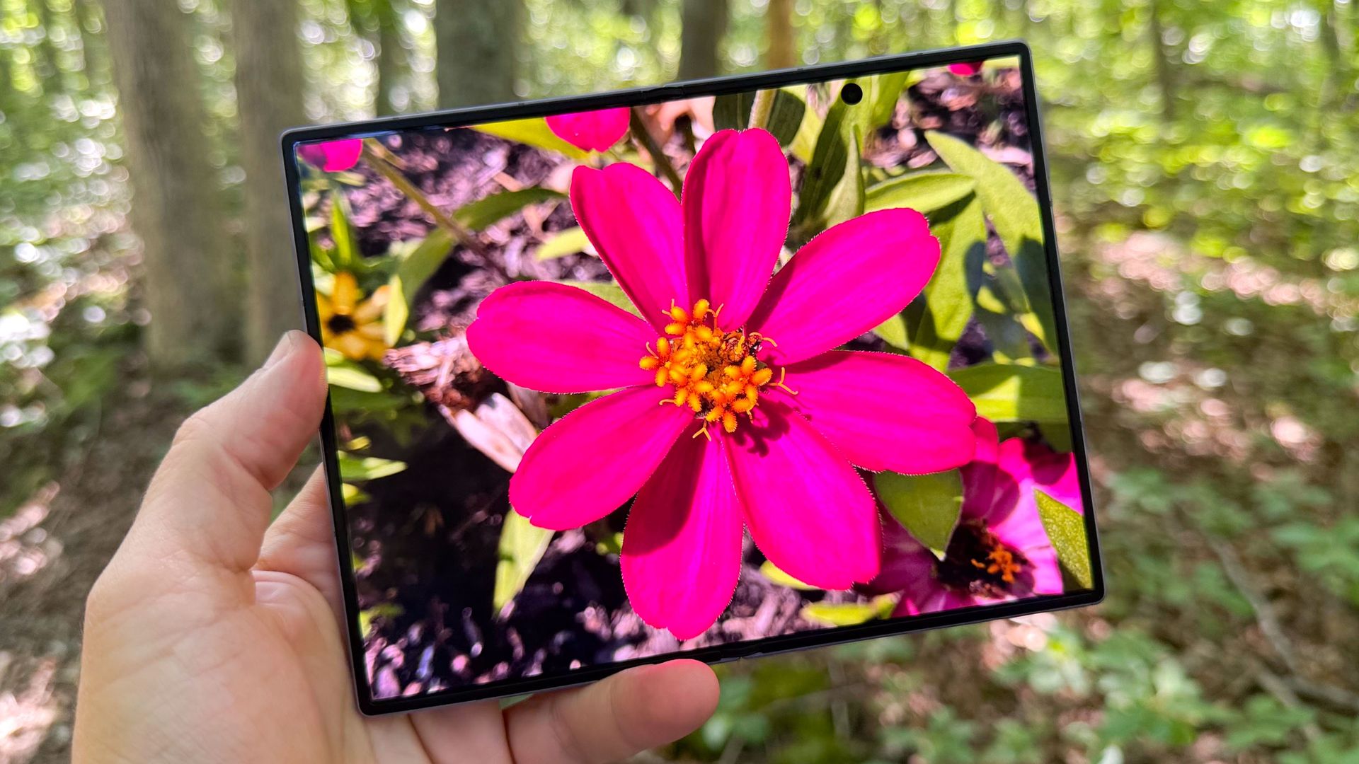 Galaxy Z Fold 8 elinde tutuluyor